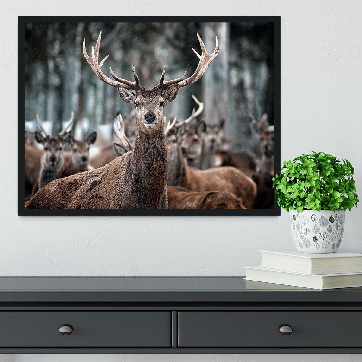 Red Deer Stag and Herd Framed Print - Canvas Art Rocks - 2