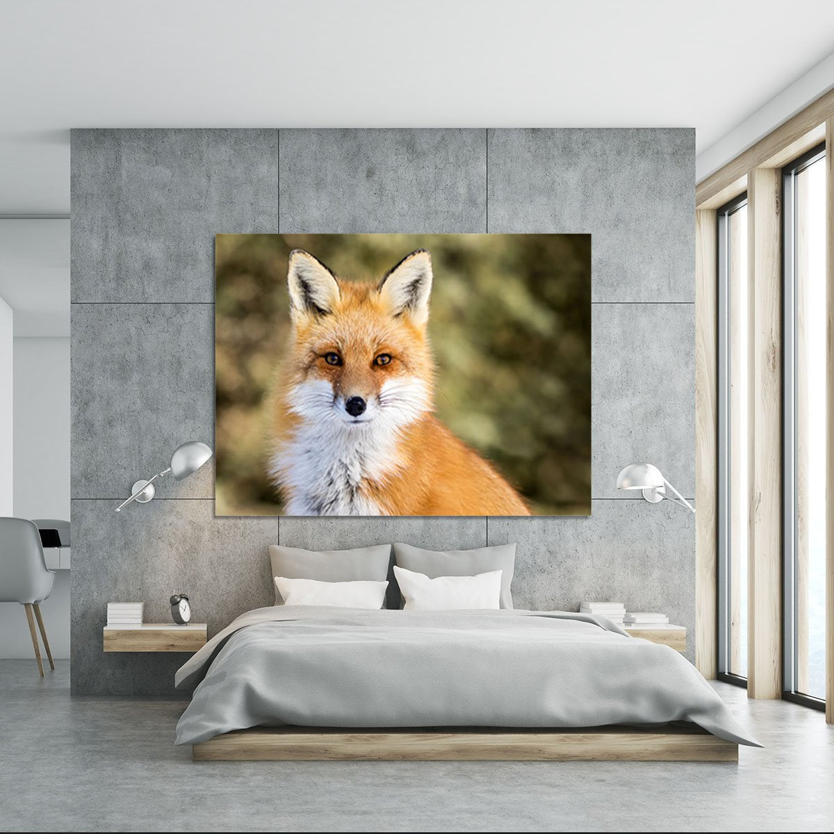 Red Fox - Vulpes vulpes sitting up at attention Canvas Print or Poster