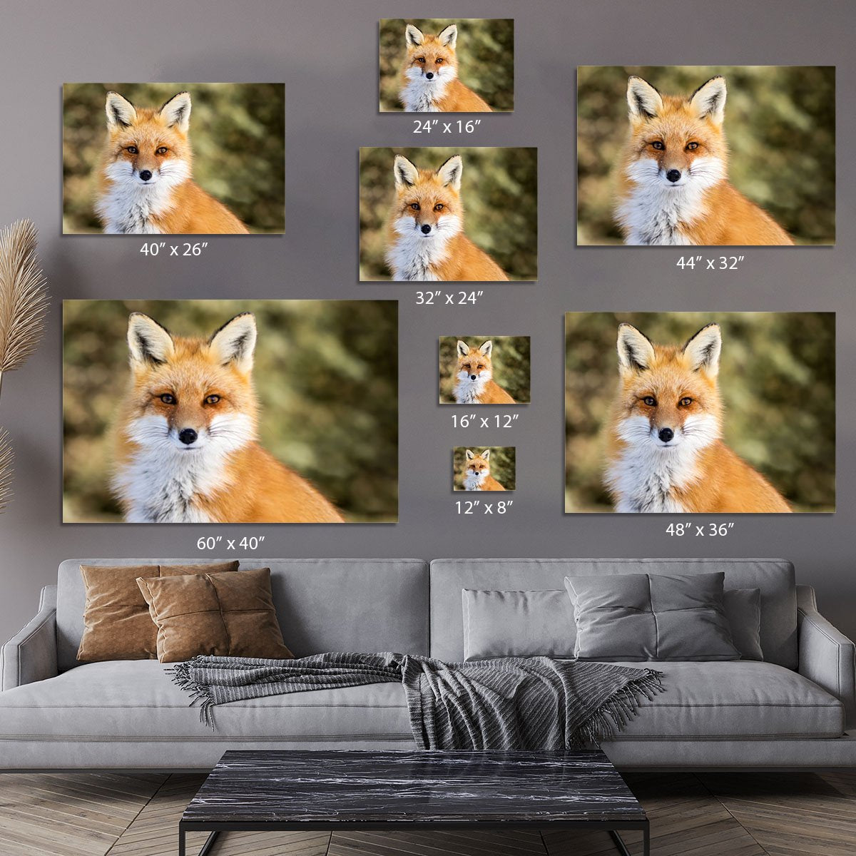 Red Fox - Vulpes vulpes sitting up at attention Canvas Print or Poster