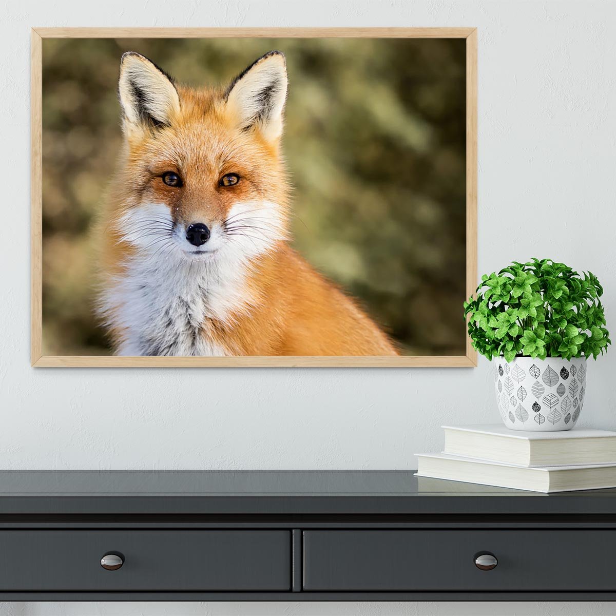 Red Fox - Vulpes vulpes sitting up at attention Framed Print - Canvas Art Rocks - 4