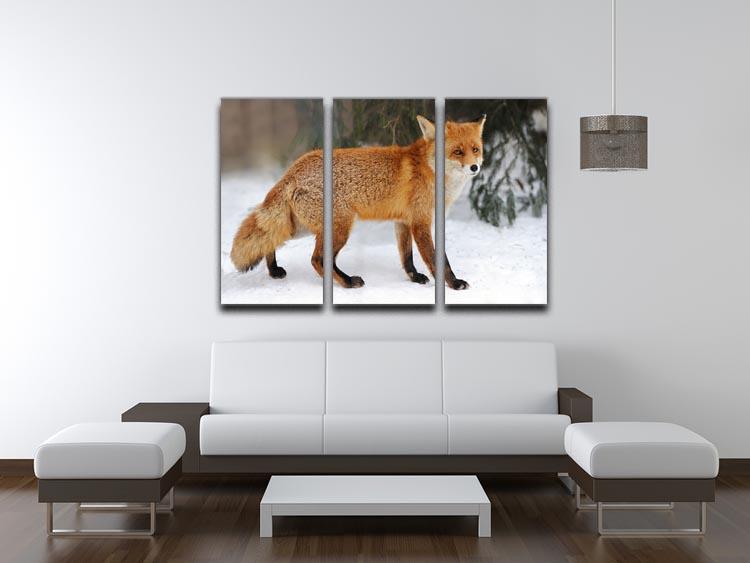 Red Fox Vulpes vulpes in winter time 3 Split Panel Canvas Print - Canvas Art Rocks - 3
