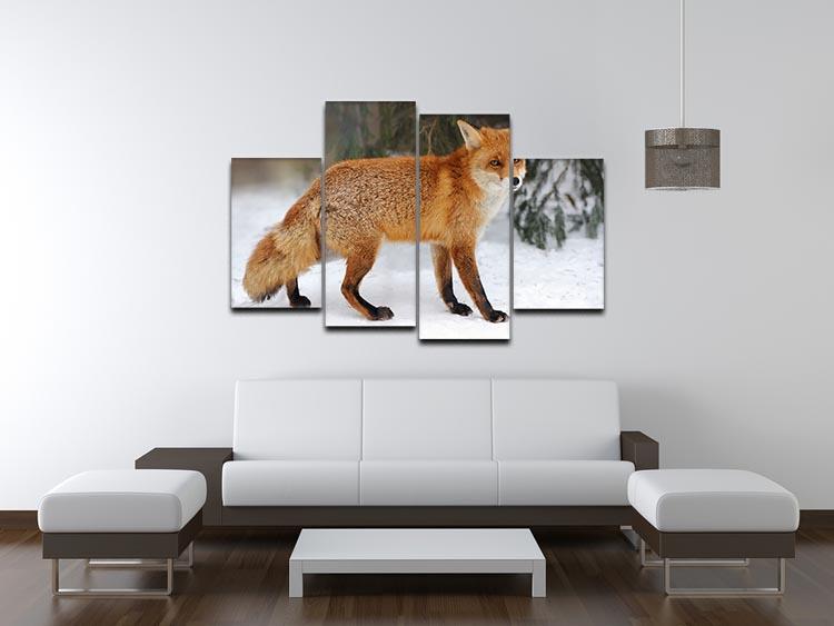 Red Fox Vulpes vulpes in winter time 4 Split Panel Canvas - Canvas Art Rocks - 3