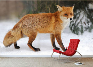 Red Fox Vulpes vulpes in winter time Wall Mural Wallpaper - Canvas Art Rocks - 2