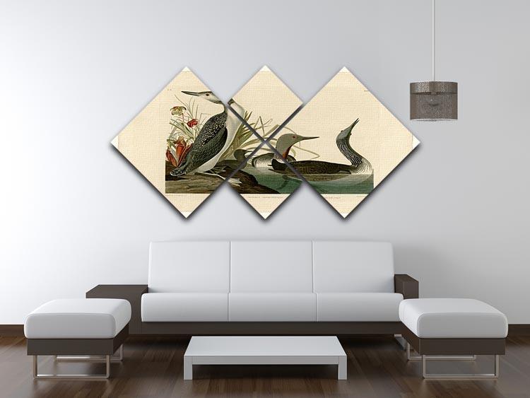 Red Throated Diver by Audubon 4 Square Multi Panel Canvas - Canvas Art Rocks - 3