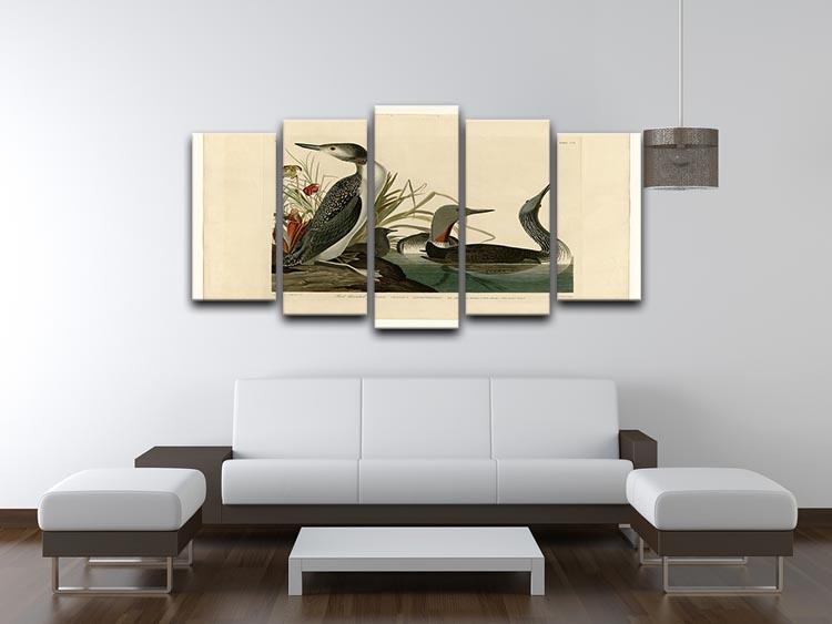 Red Throated Diver by Audubon 5 Split Panel Canvas - Canvas Art Rocks - 3