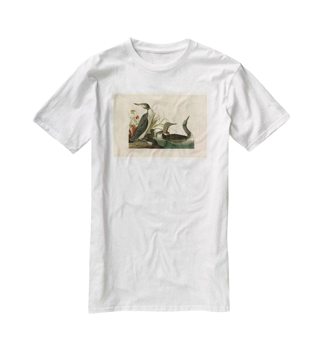 Red Throated Diver by Audubon T-Shirt - Canvas Art Rocks - 5