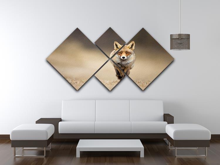 Red fox 4 Square Multi Panel Canvas - Canvas Art Rocks - 3
