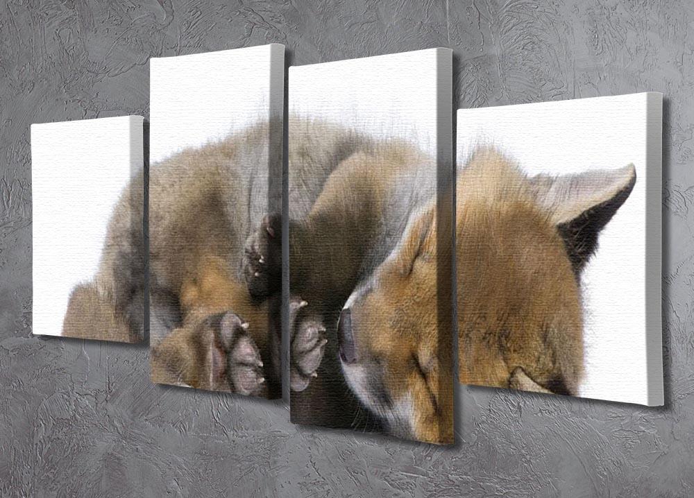 Red fox cub 6 Weeks old 4 Split Panel Canvas - Canvas Art Rocks - 2
