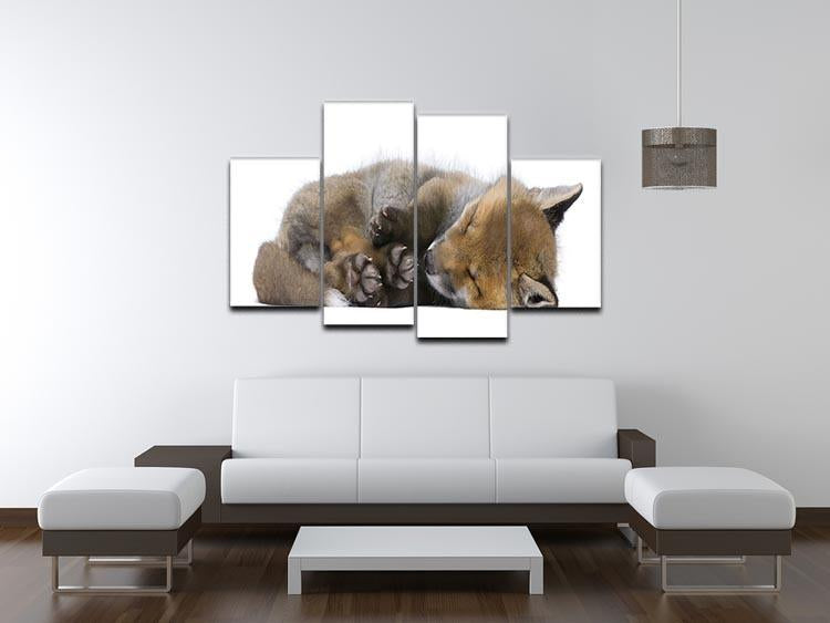 Red fox cub 6 Weeks old 4 Split Panel Canvas - Canvas Art Rocks - 3