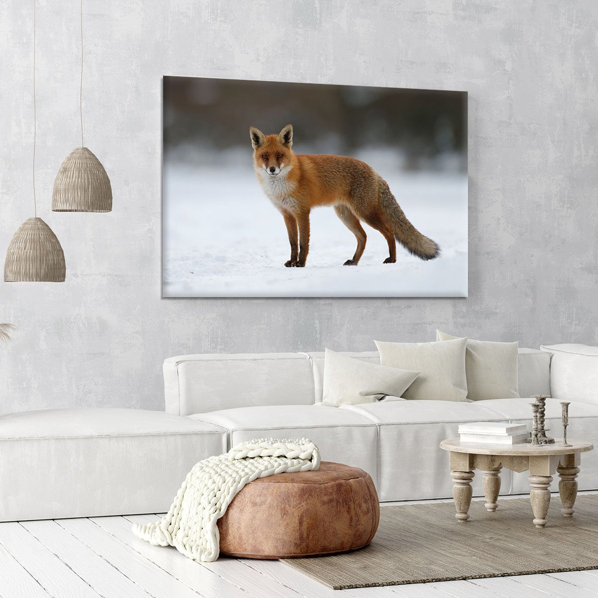 Red fox in the snow Canvas Print or Poster