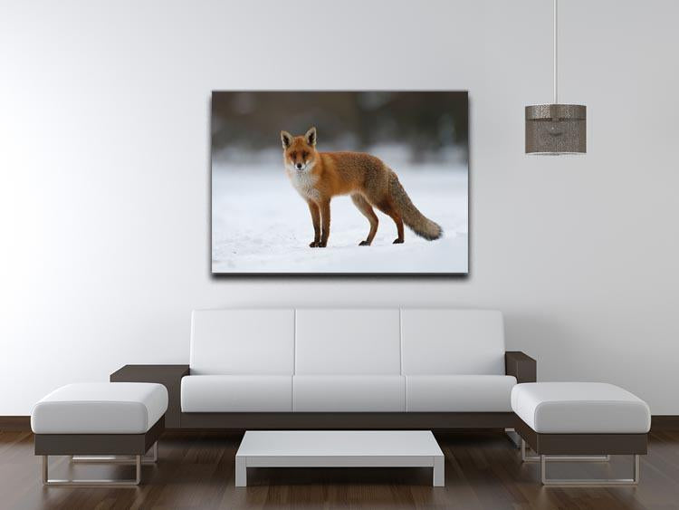 Red fox in the snow Canvas Print or Poster - Canvas Art Rocks - 4