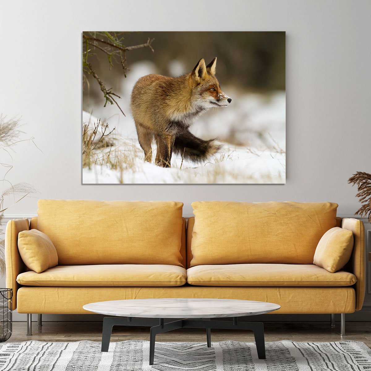 Red fox in wintertime Canvas Print or Poster