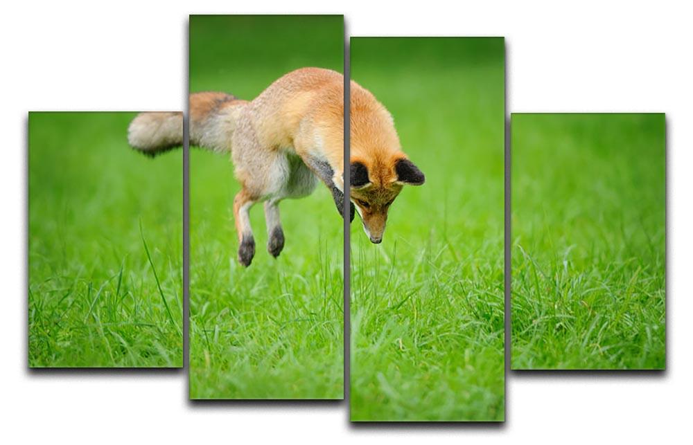 Red fox on hunt 4 Split Panel Canvas - Canvas Art Rocks - 1