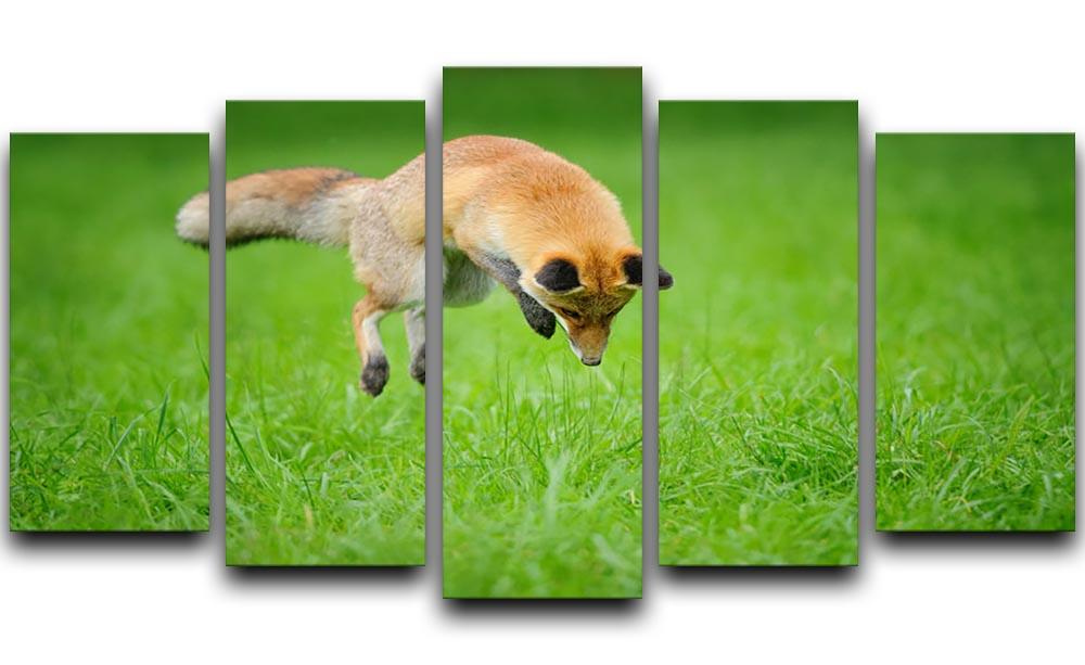 Red fox on hunt 5 Split Panel Canvas - Canvas Art Rocks - 1