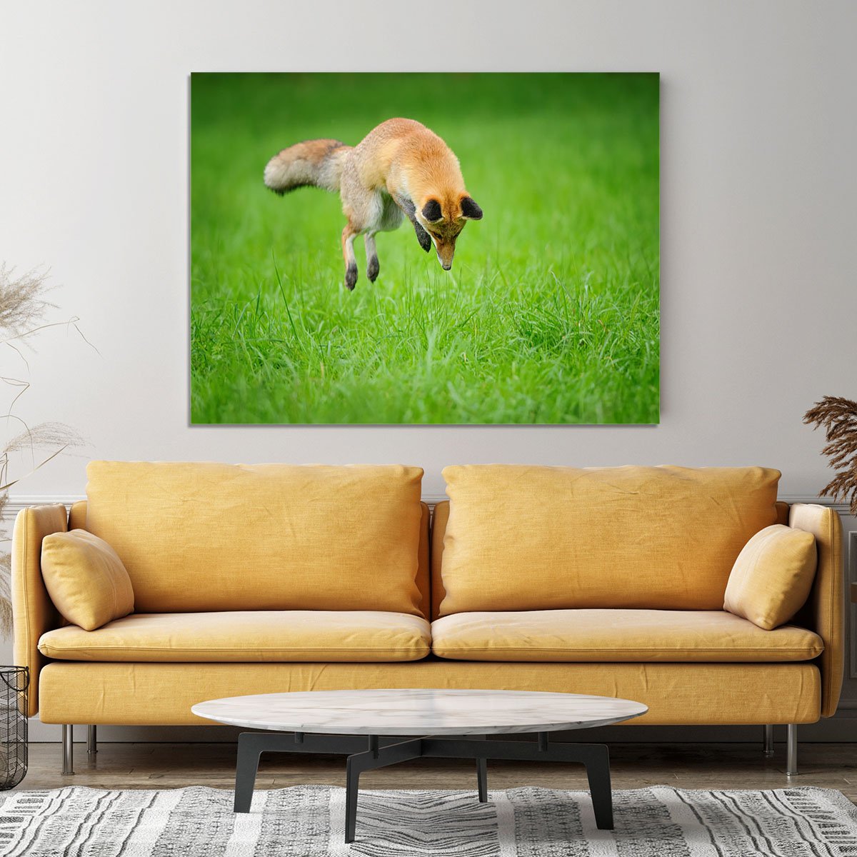 Red fox on hunt Canvas Print or Poster