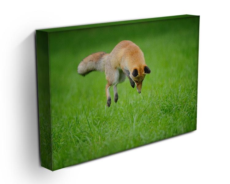 Red fox on hunt Canvas Print or Poster - Canvas Art Rocks - 3