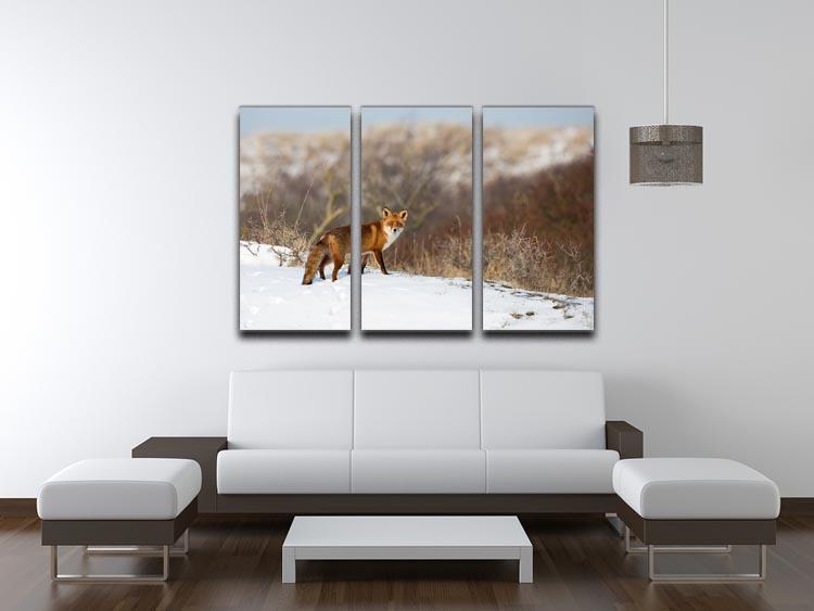 Red fox standing in a winter landscape 3 Split Panel Canvas Print - Canvas Art Rocks - 3