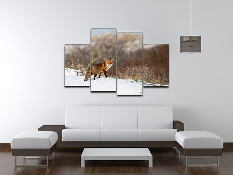 Red fox standing in a winter landscape 4 Split Panel Canvas - Canvas Art Rocks - 3