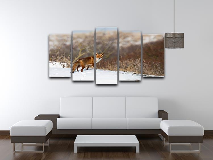 Red fox standing in a winter landscape 5 Split Panel Canvas - Canvas Art Rocks - 3