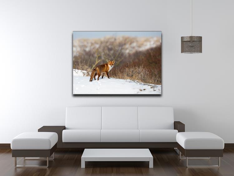 Red fox standing in a winter landscape Canvas Print or Poster - Canvas Art Rocks - 4