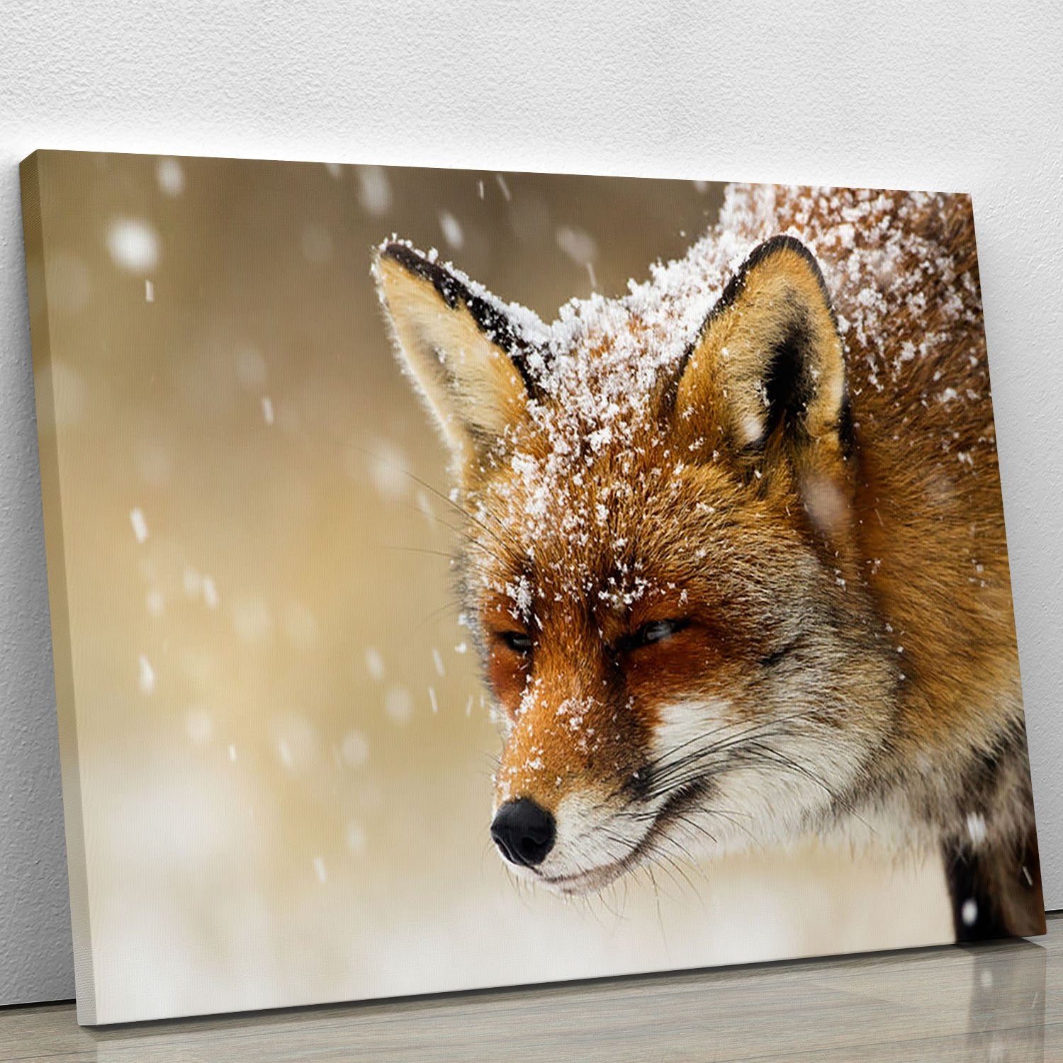 Red fox winter portrait Canvas Print or Poster