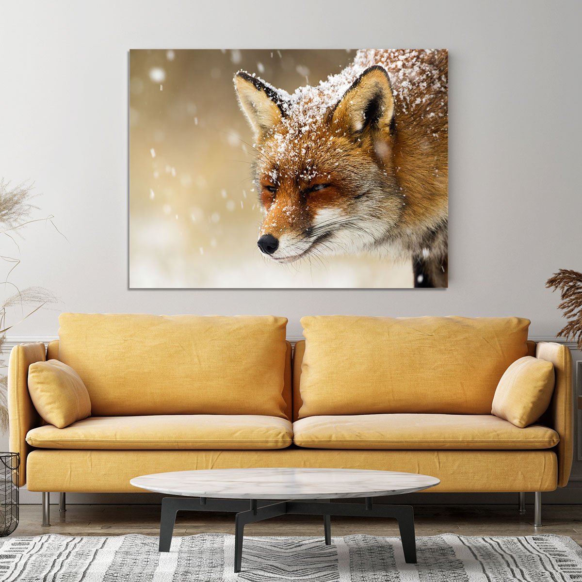 Red fox winter portrait Canvas Print or Poster
