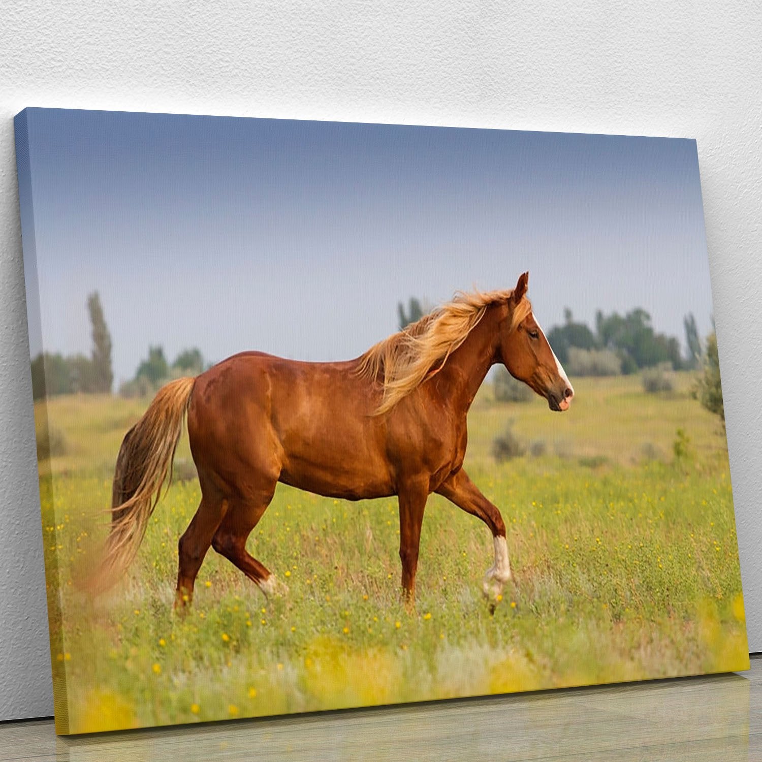 Red horse with long mane Canvas Print or Poster