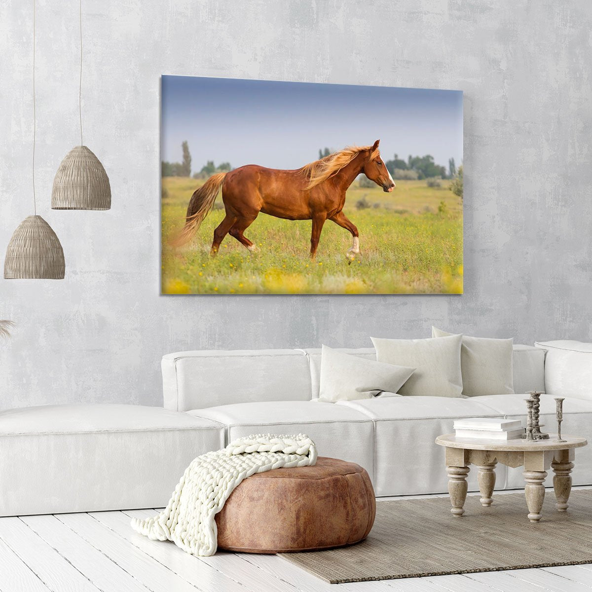 Red horse with long mane Canvas Print or Poster