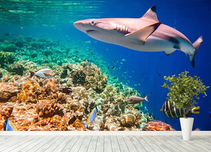 Reef with a variety of hard and soft corals and shark Wall Mural Wallpaper - Canvas Art Rocks - 4