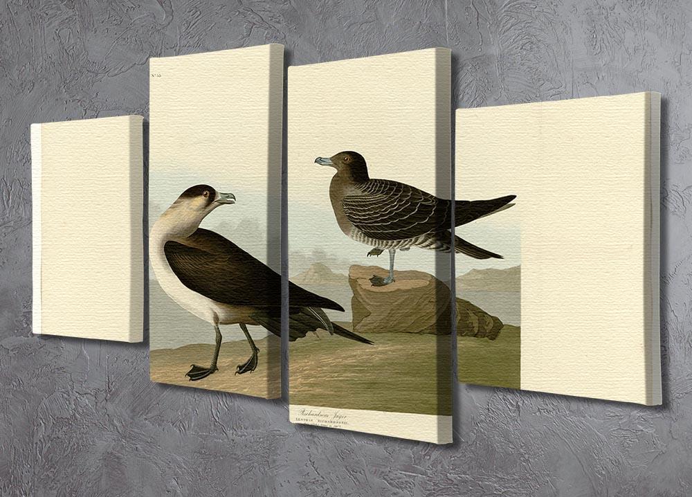 Richardsons Jager by Audubon 4 Split Panel Canvas - Canvas Art Rocks - 2