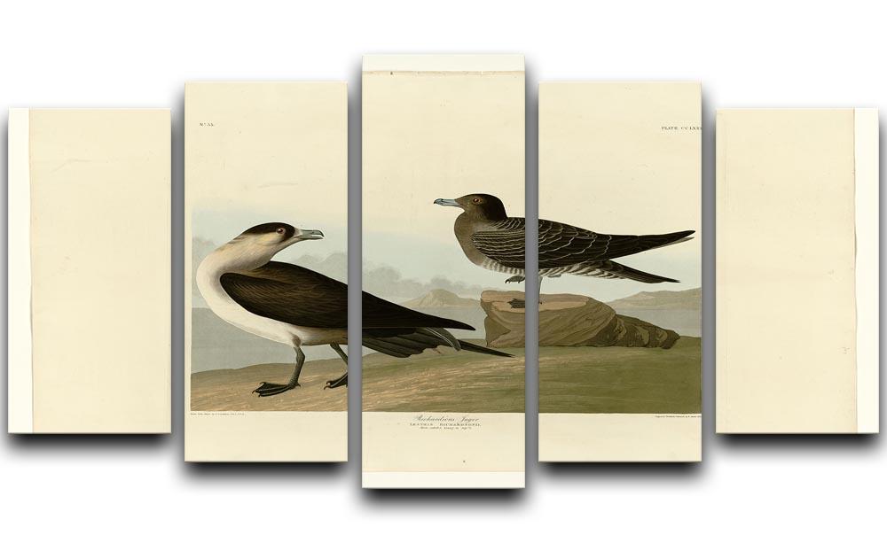 Richardsons Jager by Audubon 5 Split Panel Canvas - Canvas Art Rocks - 1