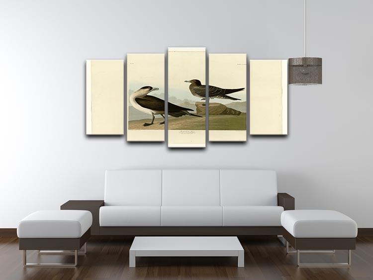 Richardsons Jager by Audubon 5 Split Panel Canvas - Canvas Art Rocks - 3