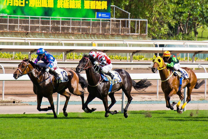 Riders during a race Wall Mural Wallpaper