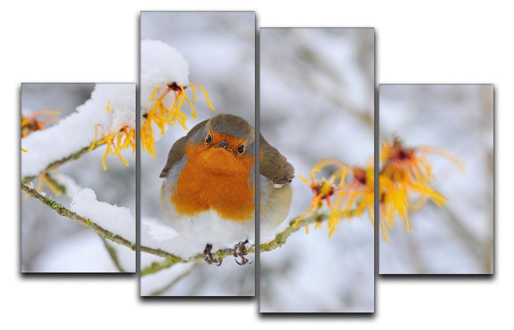 Robin in the Snow 4 Split Panel Canvas - Canvas Art Rocks - 1