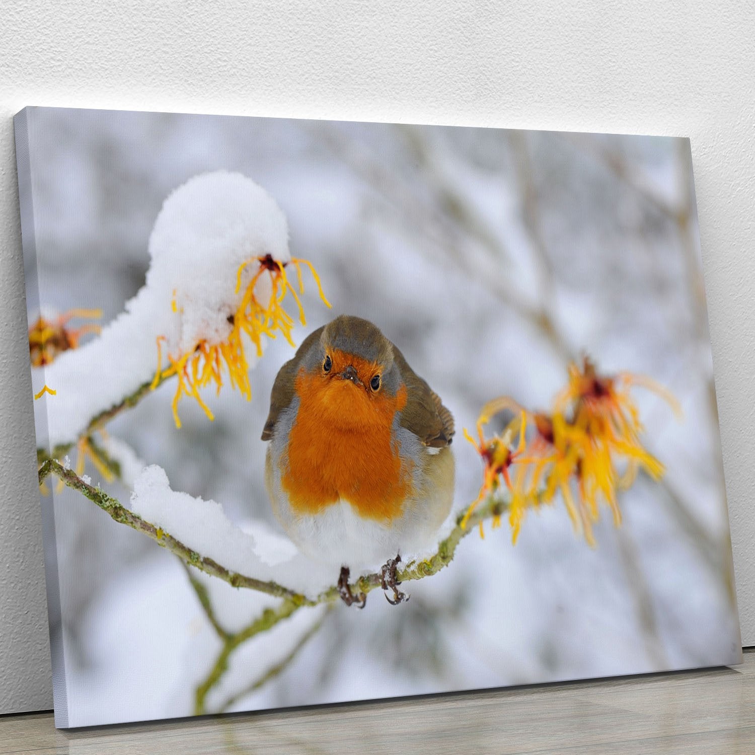 Robin in the Snow Canvas Print or Poster