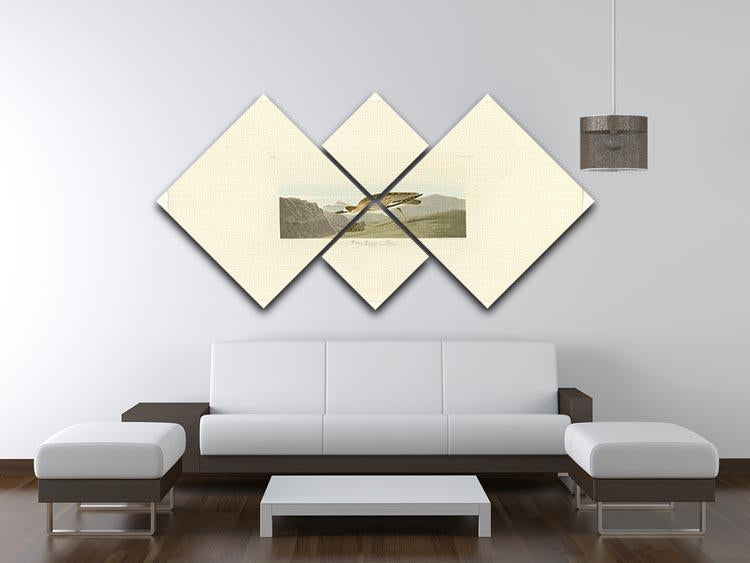 Rocky Mountain Plover by Audubon 4 Square Multi Panel Canvas - Canvas Art Rocks - 3
