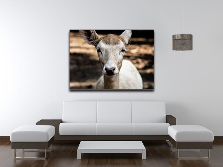 Roe Deer Print - Canvas Art Rocks - 4