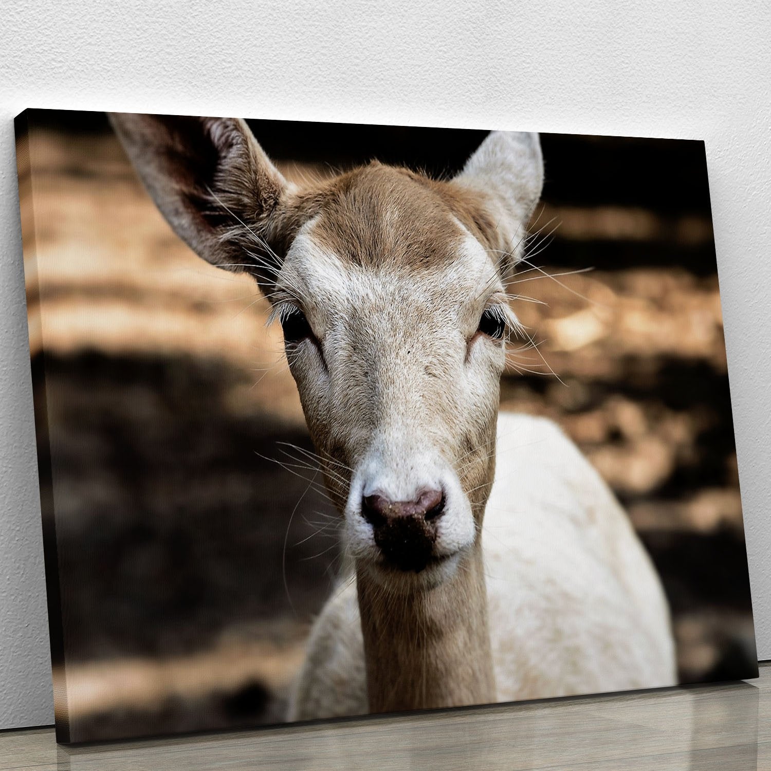 Roe Deer Canvas Print or Poster
