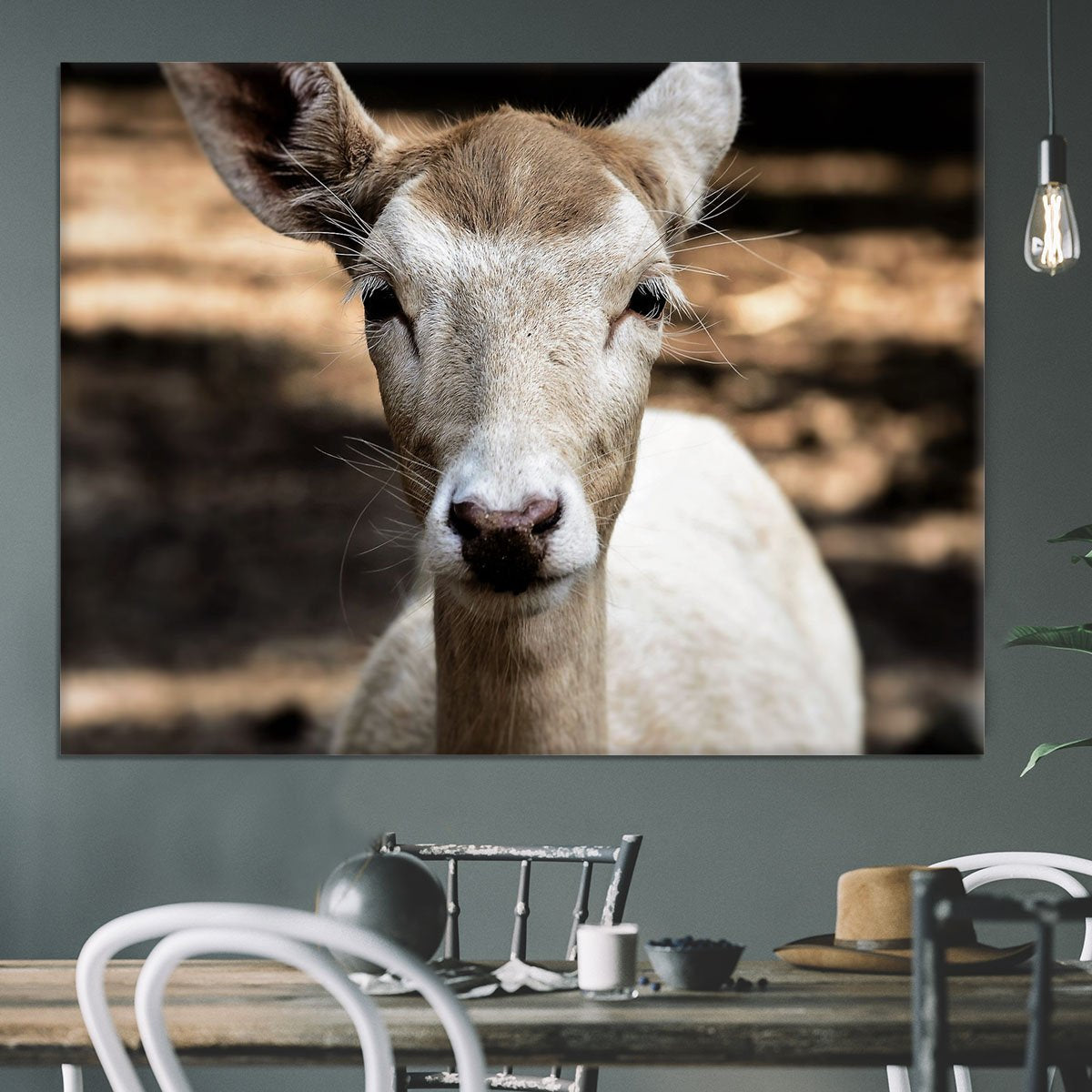 Roe Deer Canvas Print or Poster