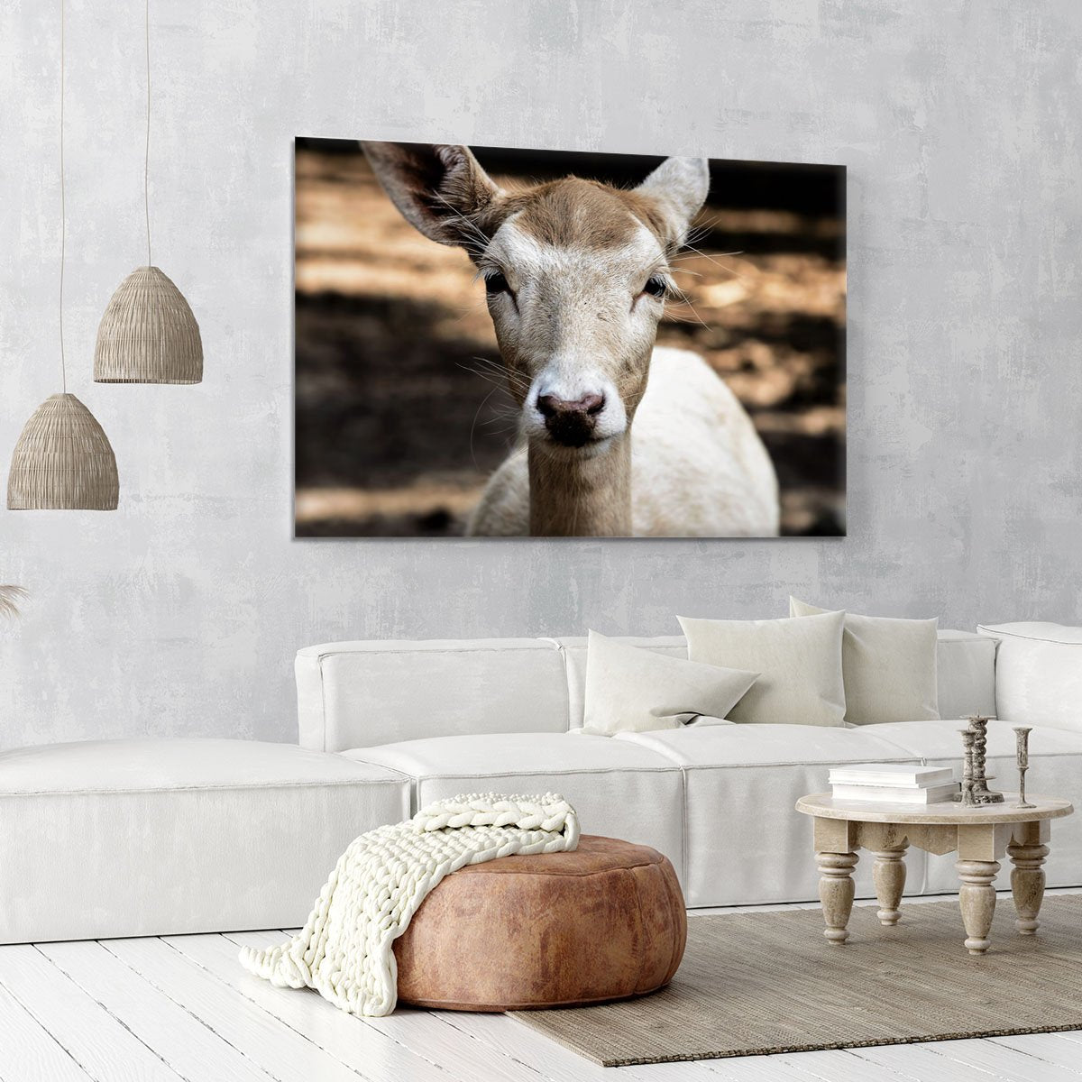 Roe Deer Canvas Print or Poster