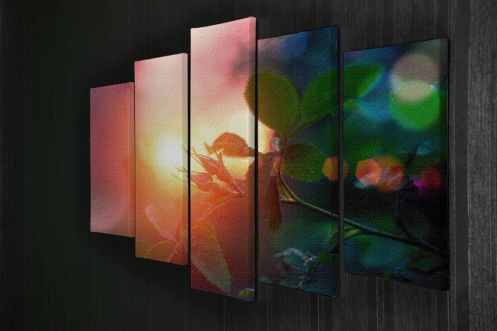 Rosebuds at sunset 5 Split Panel Canvas  - Canvas Art Rocks - 2