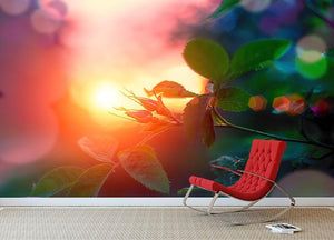 Rosebuds at sunset Wall Mural Wallpaper - Canvas Art Rocks - 2