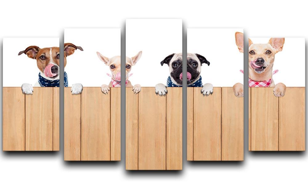 Row of dogs as a group or team 5 Split Panel Canvas - Canvas Art Rocks - 1