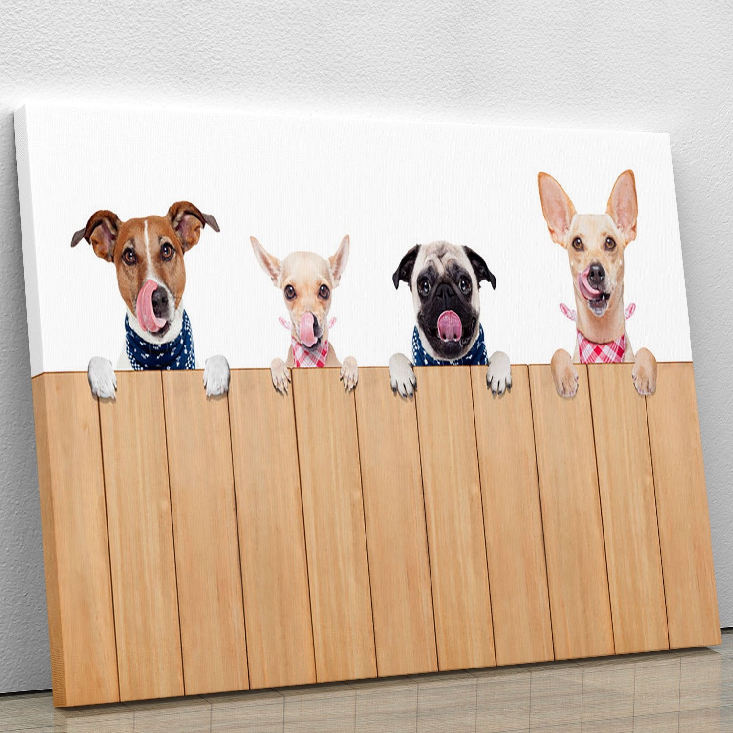 Row of dogs as a group or team Canvas Print or Poster