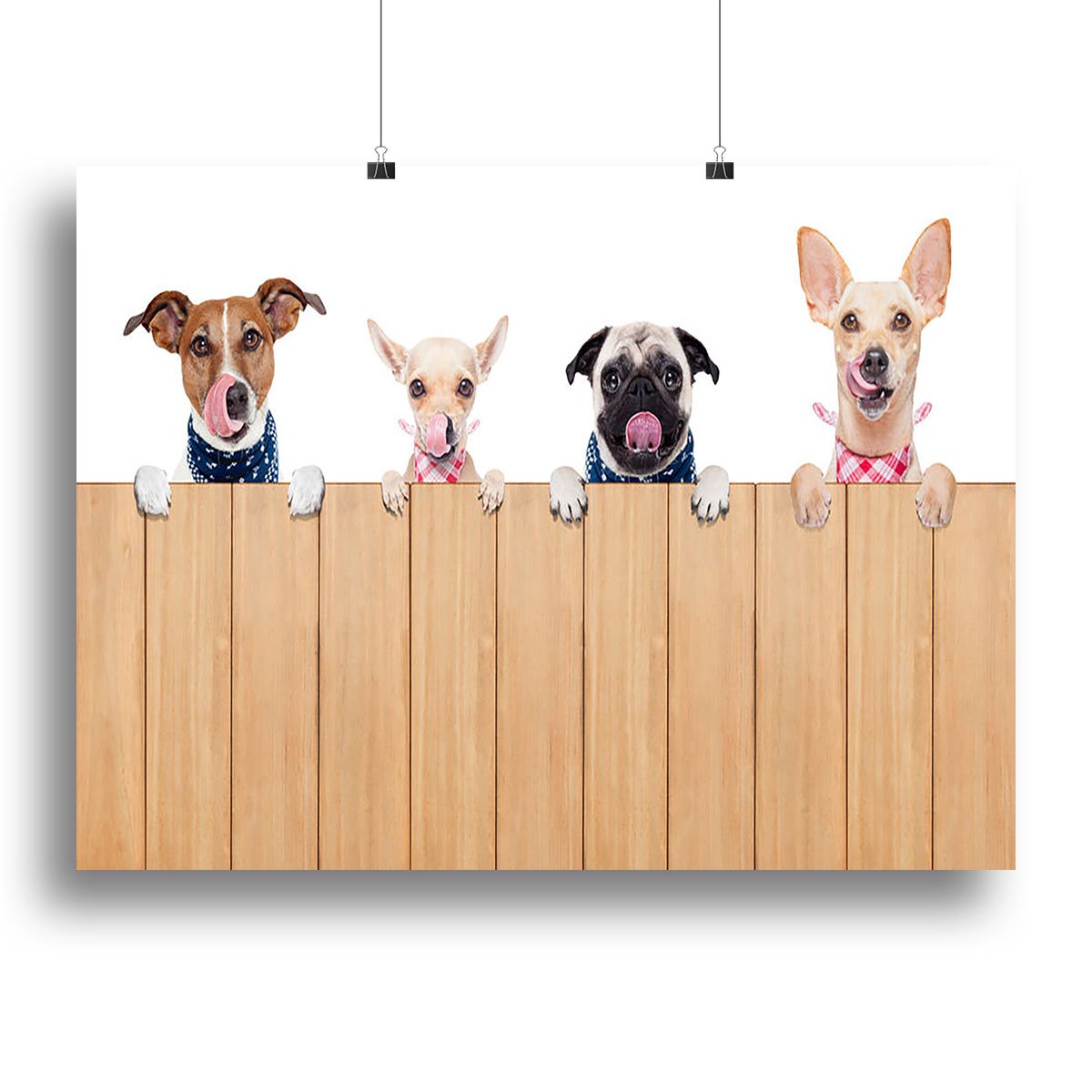 Row of dogs as a group or team Canvas Print or Poster