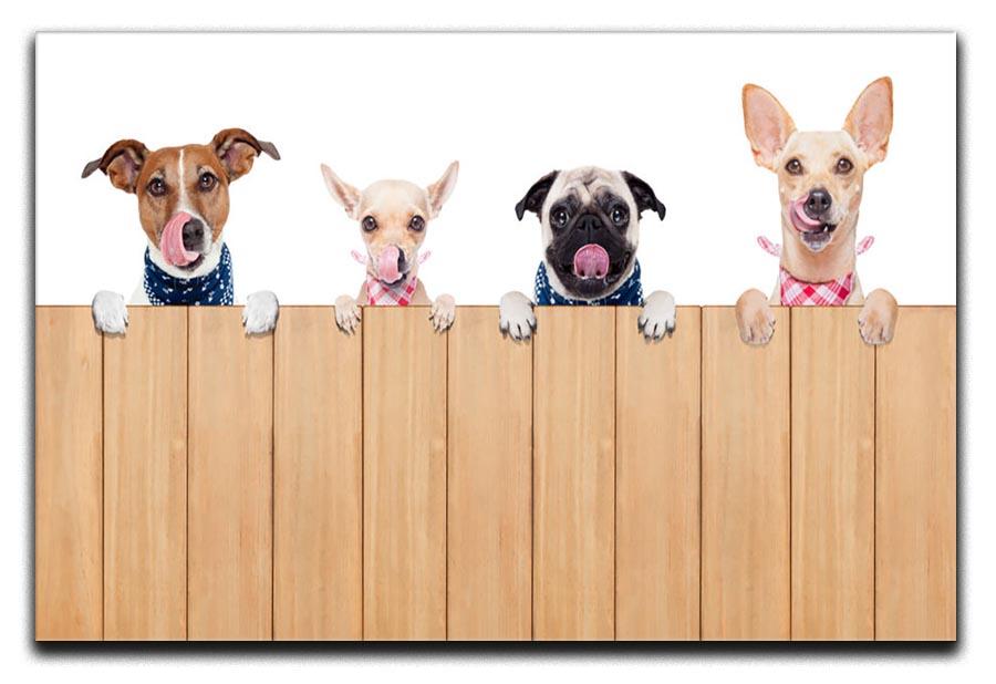 Row of dogs as a group or team Canvas Print or Poster - Canvas Art Rocks - 1
