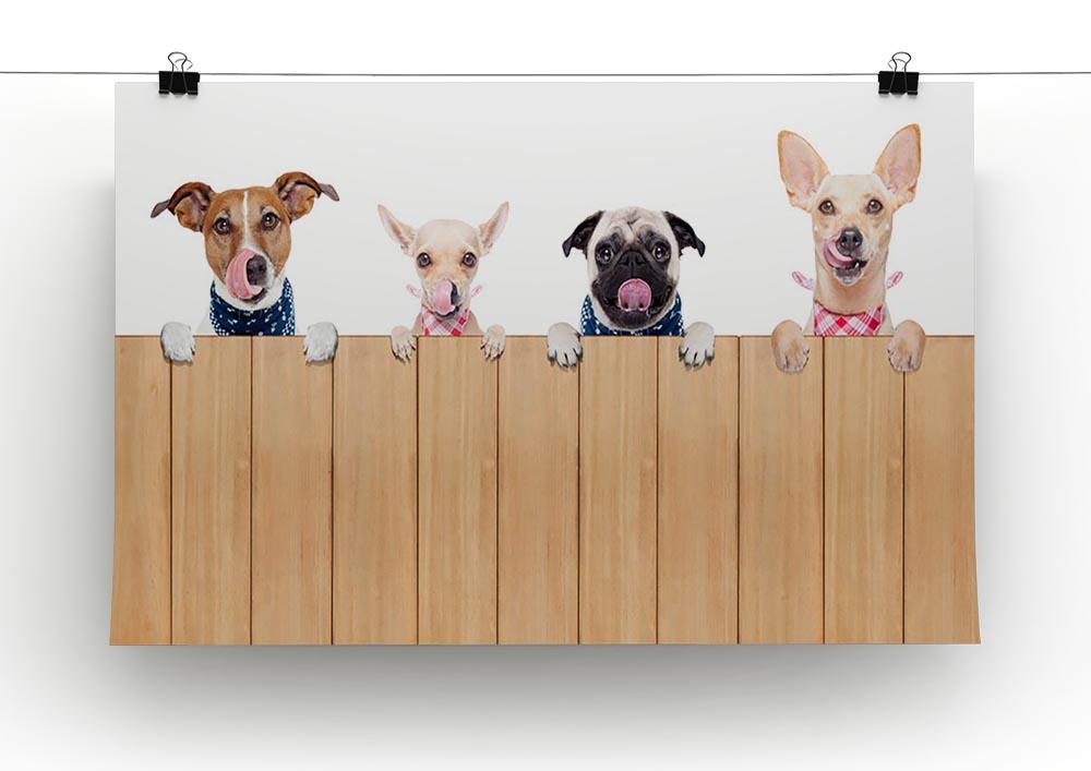 Row of dogs as a group or team Canvas Print or Poster - Canvas Art Rocks - 2