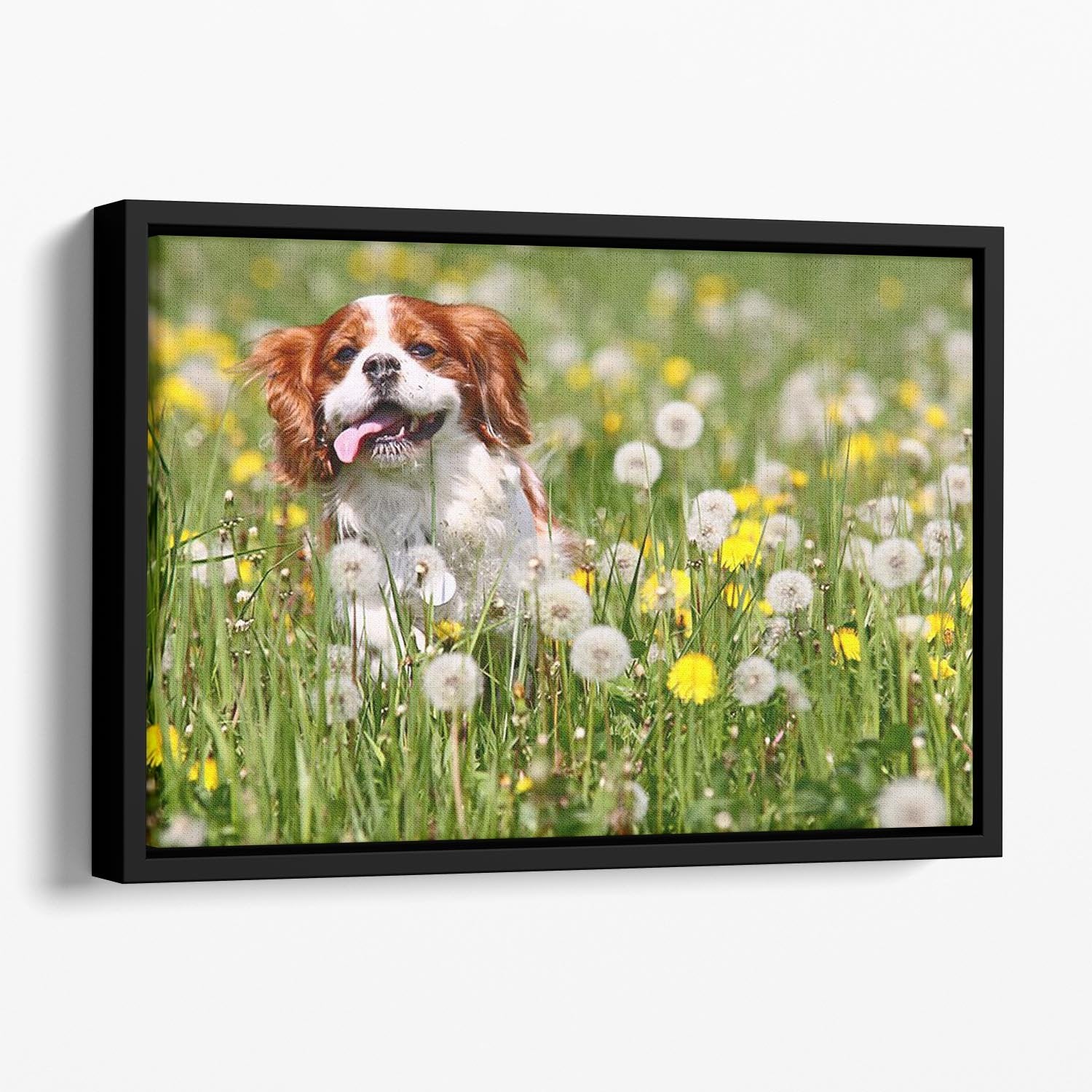 Running dog Floating Framed Canvas - Canvas Art Rocks - 1