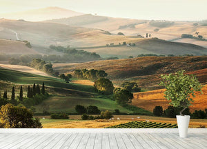 Rural countryside landscape Wall Mural Wallpaper - Canvas Art Rocks - 4