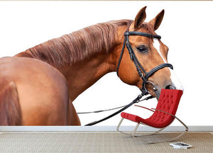 Russian Don horse Wall Mural Wallpaper - Canvas Art Rocks - 2